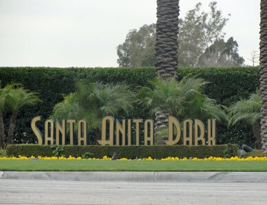 Santa Anita Park Free Pick for Monday (1-15-24)