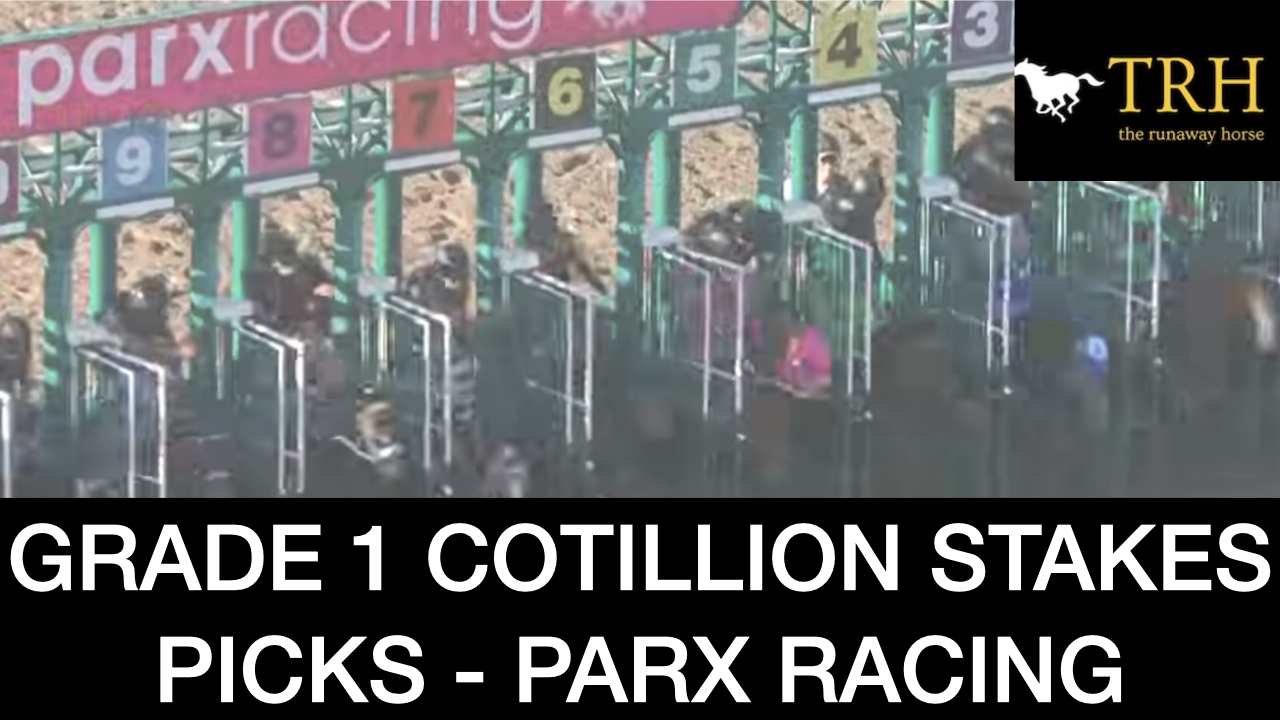 Cotillion Stakes 2025 Video Picks at Parx