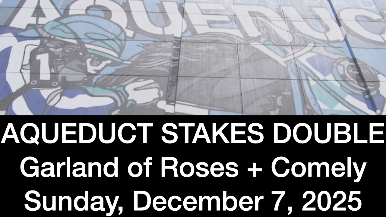 Aqueduct Video: Garland of Roses + Comely