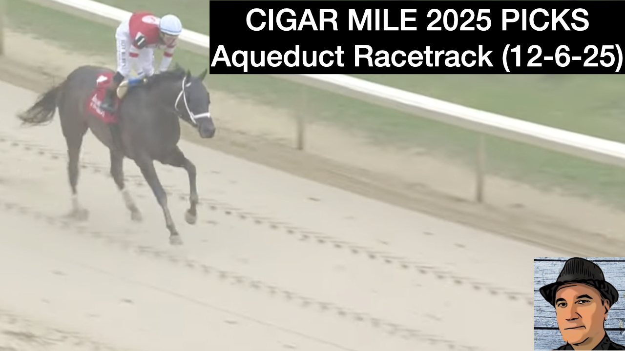Cigar Mile 2025 Video Picks at Aqueduct