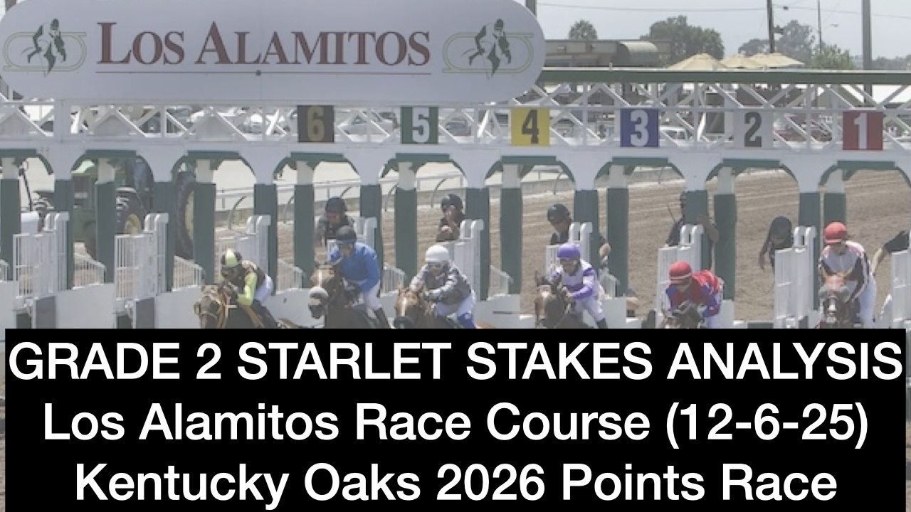 Starlet Stakes 2025 Video Picks (12-6-25)