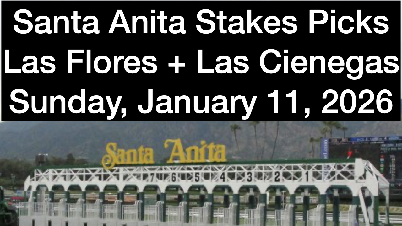 Santa Anita Park Stakes Video (1-11-26)