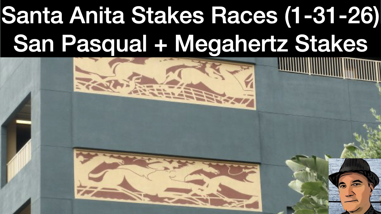 Santa Anita Park Stakes Video (1-31-26)