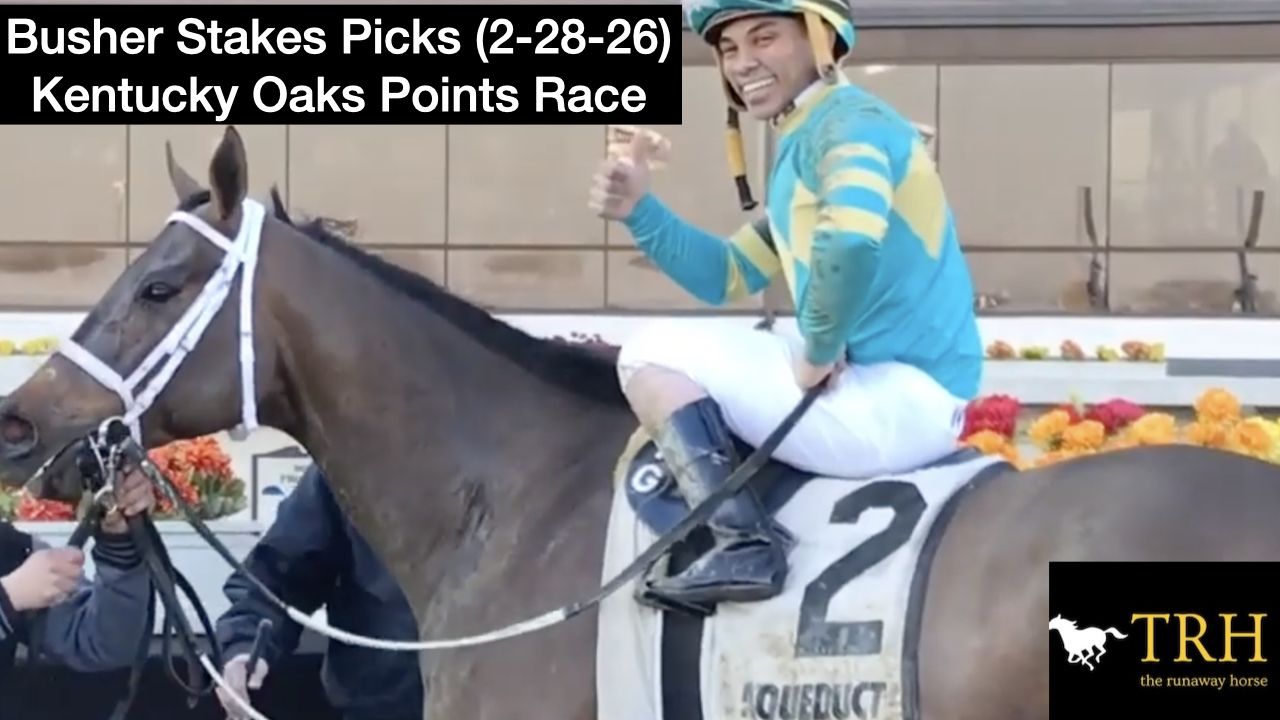 Busher Stakes Video Analysis (2-28-26)