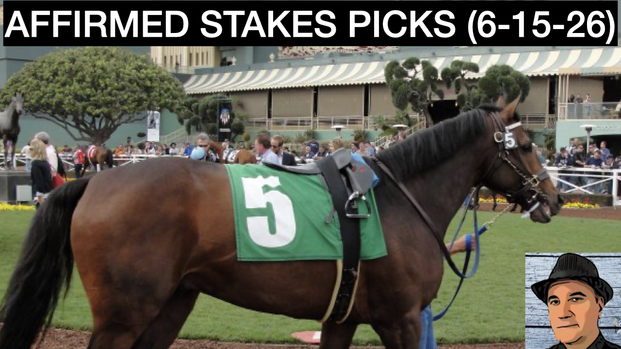 Affirmed Stakes Video Analysis (6-15-26)