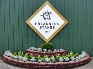 Black-Eyed Susan Day + Preakness Day Full Cards (May 15-16) - $25