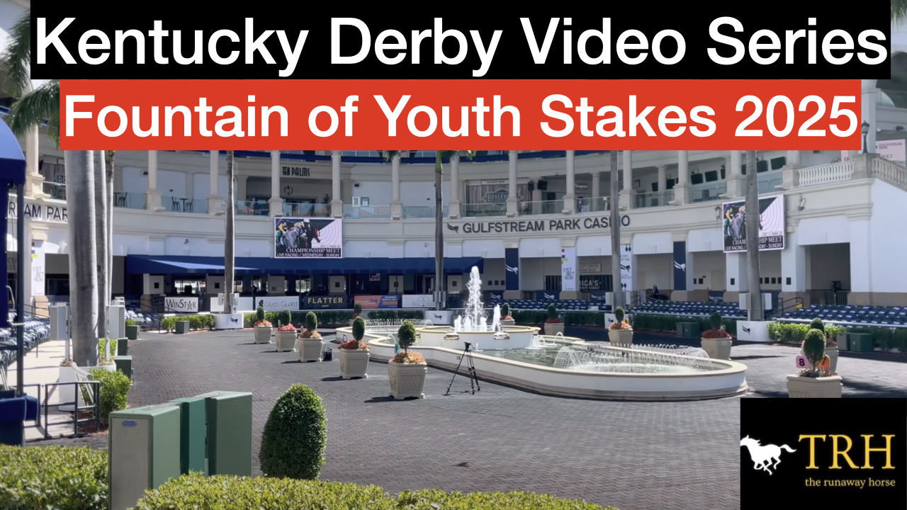 Fountain of Youth Stakes 2025 Video Picks