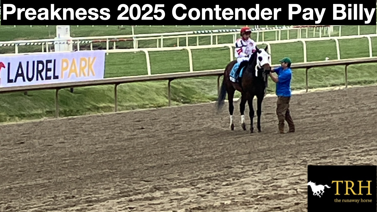 Preakness 2025 Contender: Pay Billy