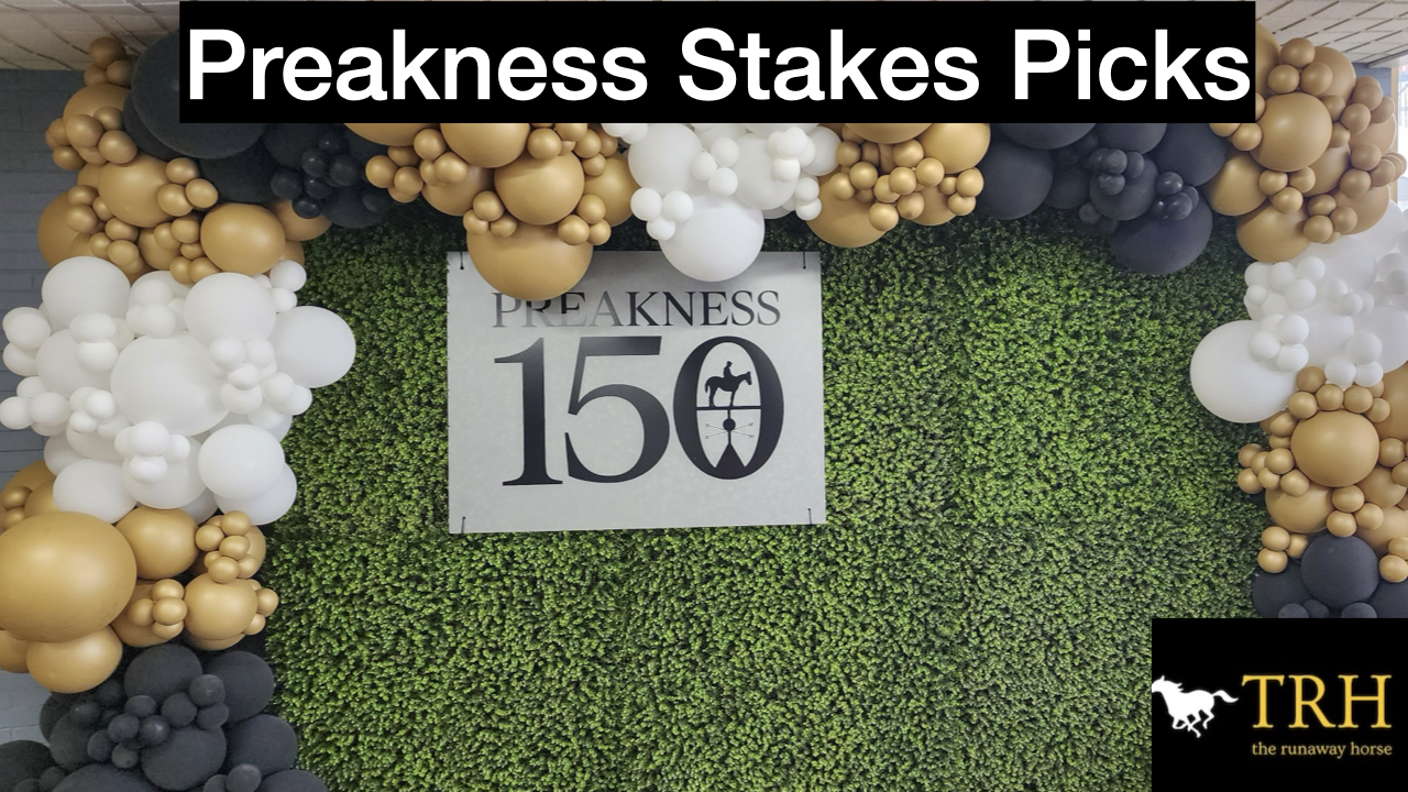 Preakness Stakes 2025 Top Pick Video
