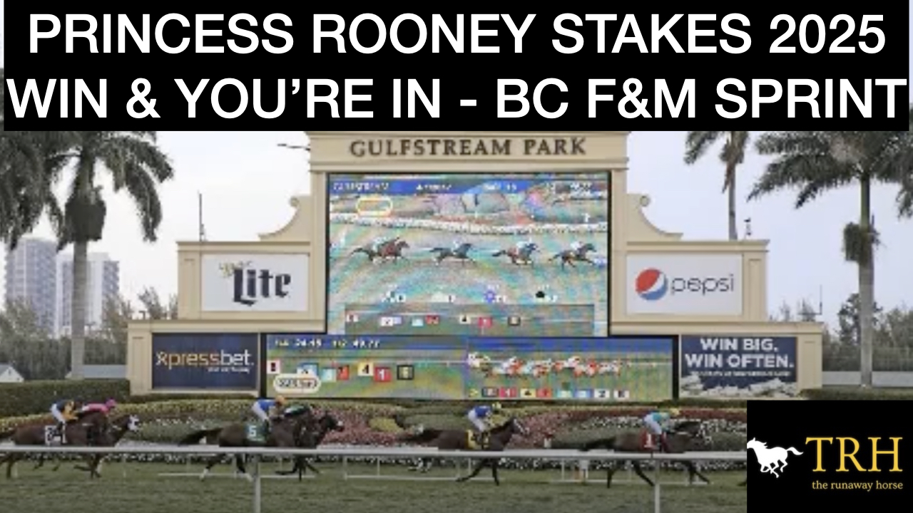 Princess Rooney Stakes 2025 Video Picks