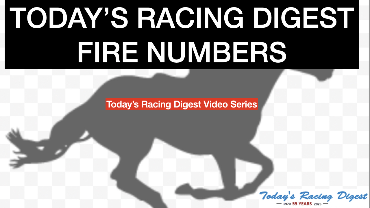Digest Video Series: Fire Numbers