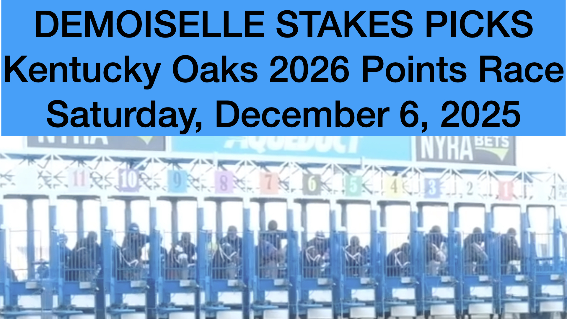 Demoiselle Stakes 2025 Video Picks (12-6-25)