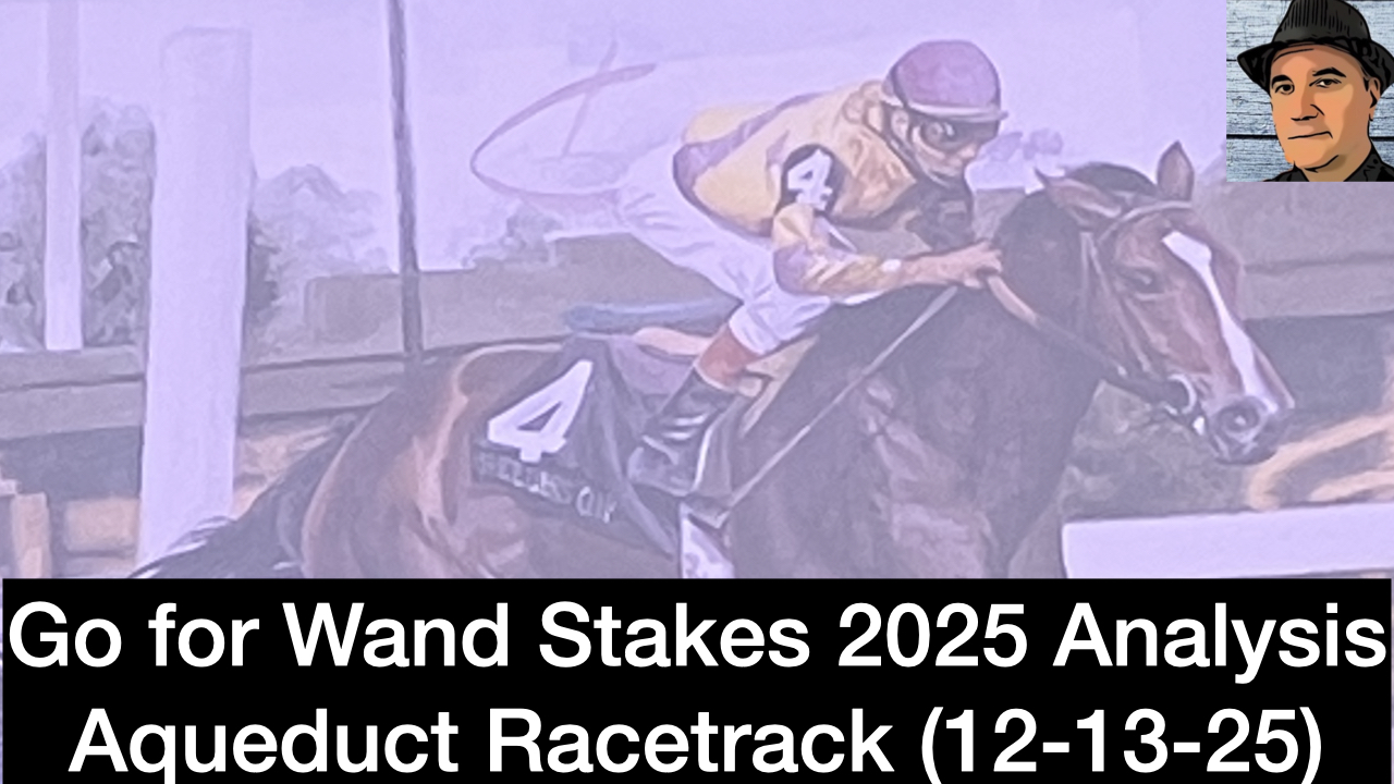 Go for Wand Stakes 2025 Video Analysis