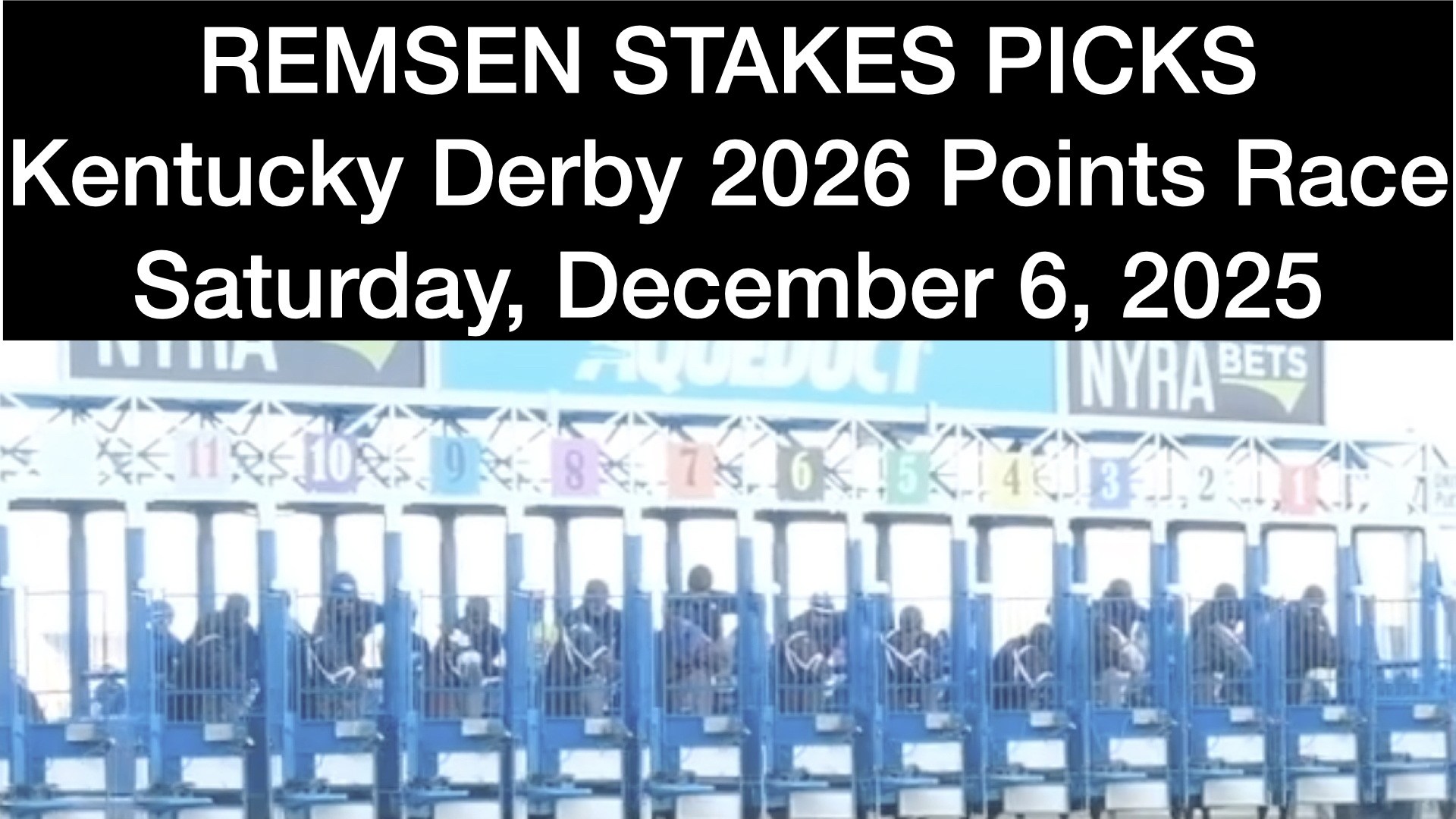 Remsen Stakes 2025 Video Picks (12-6-25)