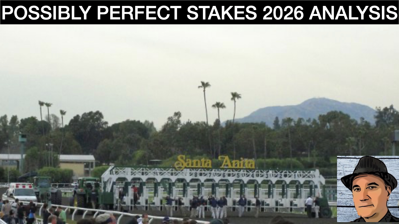 Possibly Perfect Stakes 2026 Video Picks
