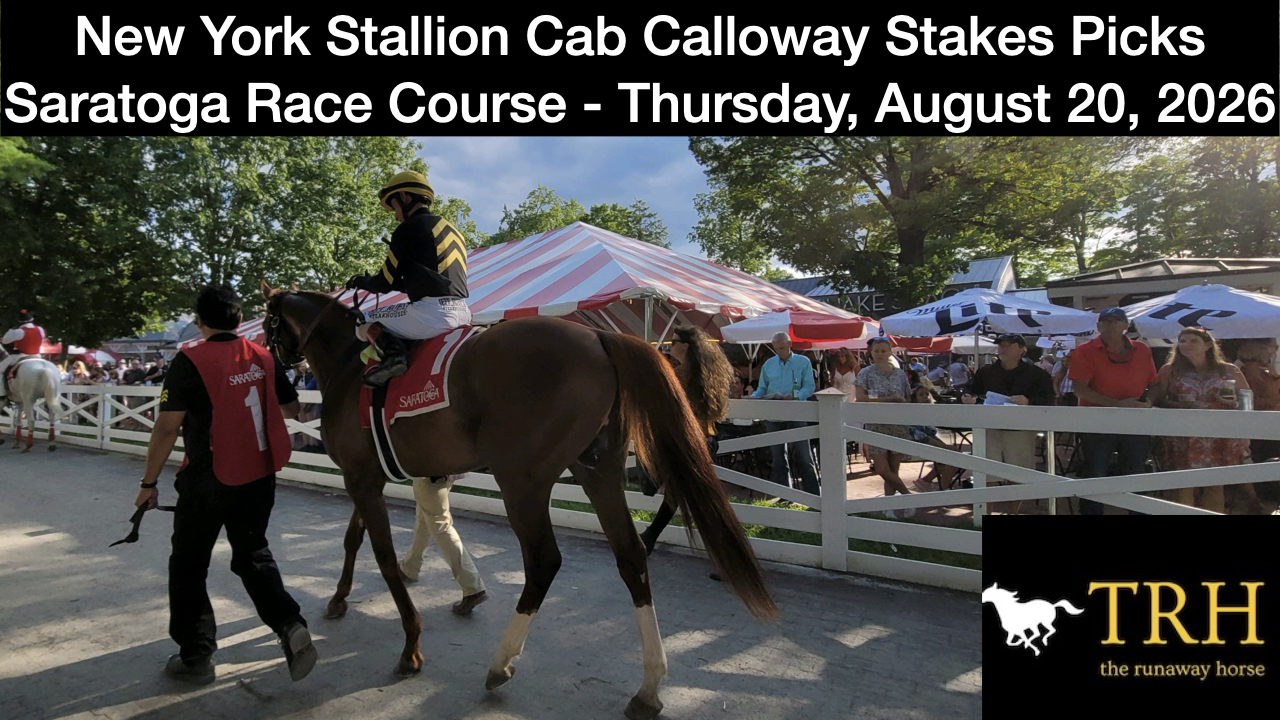 New York Stallion Cab Calloway Picks (8-20-26)